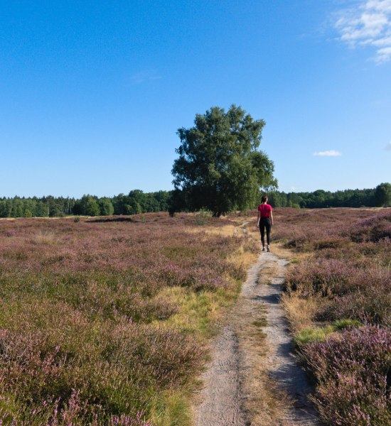 Stadt Land Geest Tour