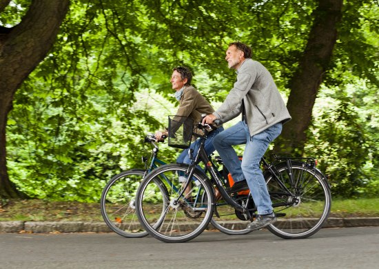 Zwei Radfahrer fahren auf einem Radweg in einem Wald.